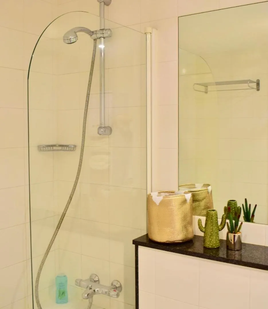 1 Bedroom City Centre Apartment In Dublin